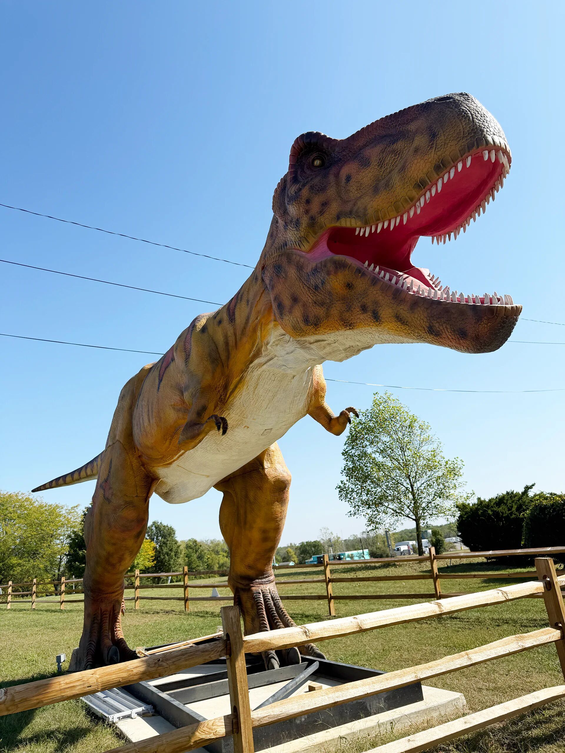 Giant animatronic dinosaur statue roaring in a grassy area under a clear blue sky.